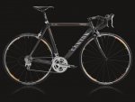roadlite50.jpg