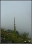 balesluchon3.jpg