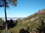 DSCF0487.jpg