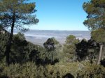 DSCF0496.jpg