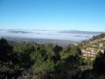 DSCF0490.jpg