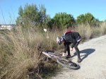 DSC02034.jpg