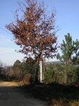 Imagen 065.jpg