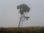 P2147507_resize.jpg