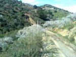 Imagen0061.jpg