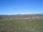 DSC02176.JPG