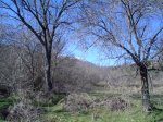 DSC02208.JPG