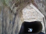 DSC02209.JPG
