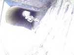 DSC02210.JPG