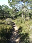 Imagen 037.jpg