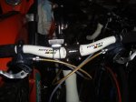 DSC00259.jpg