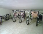 IMG00155.jpg