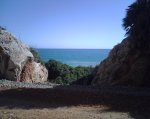 IMG00138.jpg
