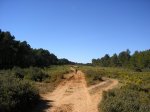 SALIDA TUEJAR 058.jpg