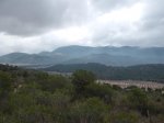 DSCF0573.jpg