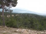 DSCF0591.jpg