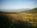 DSC_1155.jpg