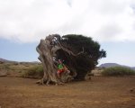 Copia de EL HIERRO EN MOUNTAIN BIKE 112.jpg
