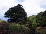 EL HIERRO EN MOUNTAIN BIKE 004.jpg