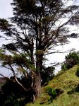 EL HIERRO EN MOUNTAIN BIKE 007.jpg