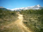 DSC_1166.jpg