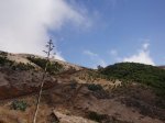 EL HIERRO EN MOUNTAIN BIKE 011.jpg