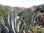 EL HIERRO EN MOUNTAIN BIKE 020.jpg