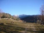 Foto1.JPG