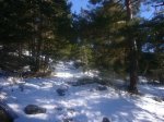 Foto4.JPG