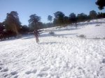 Foto6.JPG