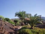 EL HIERRO EN MOUNTAIN BIKE 026.jpg