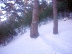 Foto11.JPG