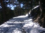 Foto16.JPG