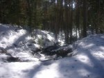Foto19.JPG