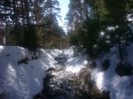 Foto20.JPG