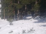 Foto34.JPG