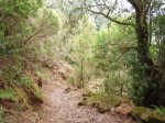 EL HIERRO EN MOUNTAIN BIKE 071.jpg