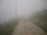 IMGP0066.jpg
