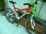 PICT0305.JPG