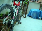 PICT0303.JPG