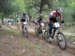 IMG_3523.jpg