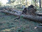 DSC01734.jpg