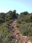 Imagen 024.jpg