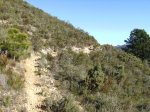 Imagen 034.jpg
