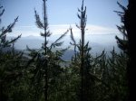 IMGP0108.jpg