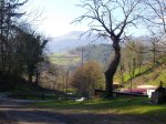 IMGP0111.jpg