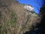 IMGP0114.jpg