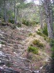 DSCN0359.JPG
