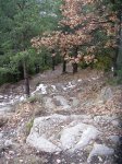 DSCN0360.JPG