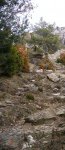 DSCN0361.JPG